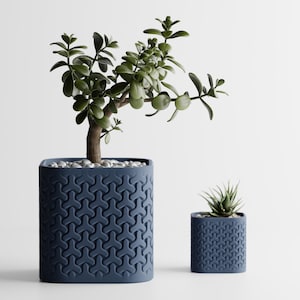 May include: Two blue decorative planters with a geometric pattern. The larger planter holds a jade plant with small green leaves and white pebbles. The smaller planter contains a succulent. Both planters are on a white background.