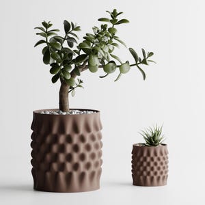 May include: Two brown textured planters, one large and one small, each holding a plant. The larger planter contains a jade plant with dark green leaves. The smaller planter has a succulent. Both planters have a repeating pattern.