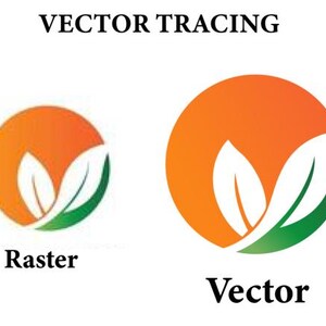 Puede incluir: Imagen que compara gráficos raster y vectoriales. El gráfico "Raster" es una versión más pequeña y menos detallada de un logotipo con un círculo naranja, hojas blancas y detalles verdes. El gráfico "Vector" es más grande y detallado.