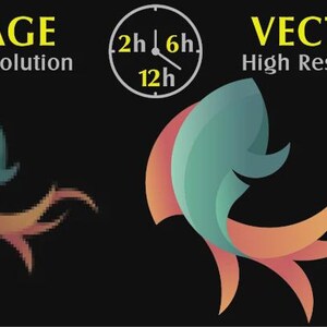 May include: A graphic comparing image resolution, showing a low-resolution image and a high-resolution vector image of a stylized fish in teal and orange. Text indicates "IMAGE Low Resolution" and "VECTOR High Resolution". A clock graphic shows 2h, 6h, and 12h.