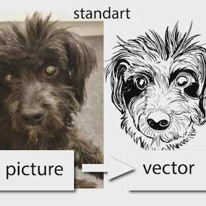 Create a vector from photos