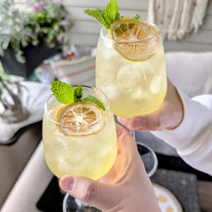 Dried Lemon Slices for Cocktails, Dehydrated Lemon Wheels Drink Garnish, Citrus Bar Cart Decor, Tea and Cocktail Garnishes, Tart & Tipple