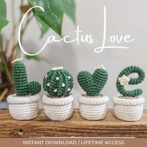Cactus-haakpatroon, voor woondecoratie, bloempotten, gehaakte cactus &#39;LOVE&#39; pottenpatroon - alleen haakpatroon, amigurumi