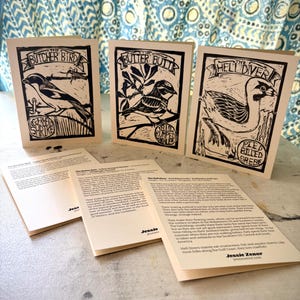 Vogel Briefkarten Set – Butter Butt, Hell Diver und Butcher Bird – 6er Pack – Naturbriefpapier – Illustrierte Vogelkarten – Field Guide Style