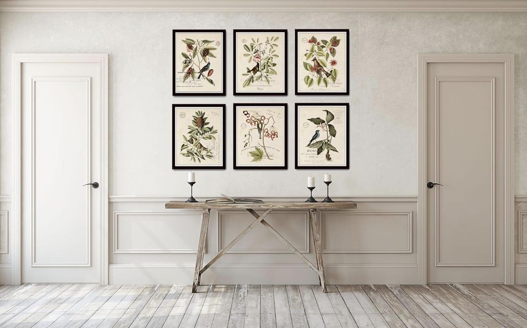 Vintage Bird Botanical Print Set | Antique French Wall Art - Etsy