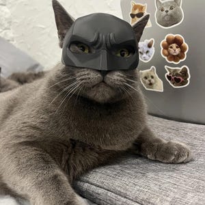 Máscara de gato Batman impressa em 3D · Fantasia de super-herói para animais de estimação · Máscara de cosplay de gato preto para Halloween, fotos e presentes · Acessórios para gatos