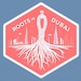 Roots in Dubai