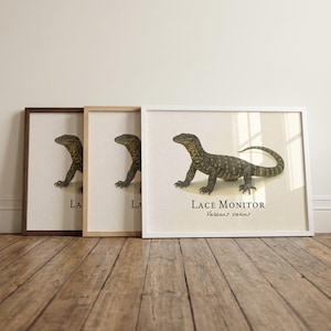 Lace Monitor Framed Print – Vintage Scientific Illustration of Varanus Varius