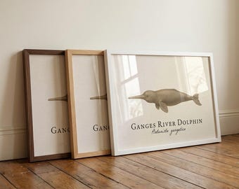 Ganges River Dolphin Framed Print - Vintage Scientific Illustration of Platanista gangetica