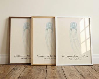 Australian Box Jellyfish Framed Print – Vintage Scientific