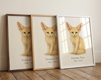 Ingelijste print fennekvos – vintage wetenschappelijke illustratie van Vulpes zerda