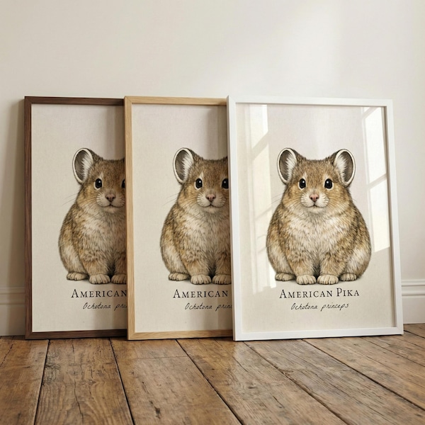 American Pika Framed Print – Vintage Scientific Illustration of Ochotona princeps