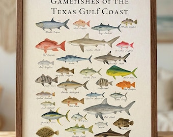 Gamefische der Golfküste von Texas Poster Druck: Vintage wissenschaftliche Illustration Salzwasser Poster