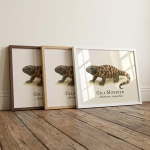 アメリカドクトカゲの額入りプリント – ヘロデルマ・サスペクタムのヴィンテージ科学イラスト