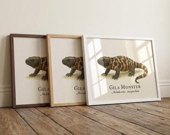 Gila Monster gerahmter Druck - Vintage wissenschaftliche Illustration von Heloderma Sucustumer