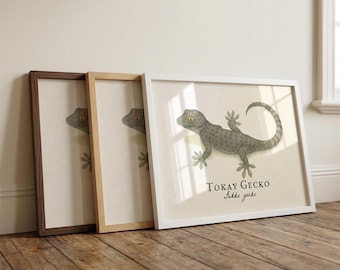 Tokay Gecko Print – Vintage Scientific Illustration of Gekko gecko