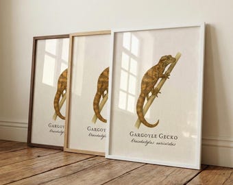Lámina enmarcada de un geco gárgola: ilustración científica vintage de Rhacodactylus auriculatus