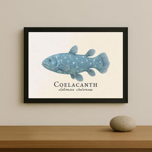 Op de afbeelding: Een ingelijste kunstdruk met een illustratie van een blauwe Coelacanth-vis met witte stippen. Het kunstwerk bevat de naam "Coelacanth" en de wetenschappelijke naam "Latimeria chalumnae" in zwarte tekst. De print zit in een zwarte lijst.