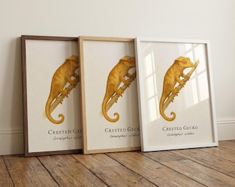 Crested Gecko Framed Print – Vintage Scientific Illustration of Correlophus ciliatus