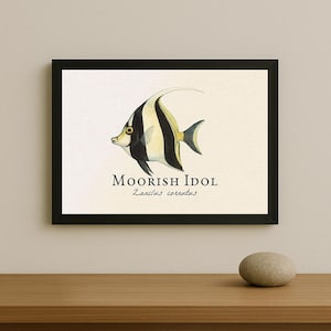 May include: Framed print of a Moorish Idol fish, featuring black and white stripes with yellow accents. The artwork includes the name "Moorish Idol" and the scientific name "Zanclus cornutus". The frame is black.