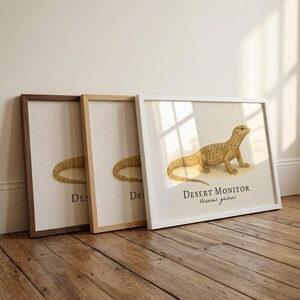 Desert Monitor Framed Print – Vintage Scientific Illustration of Varanus griseus