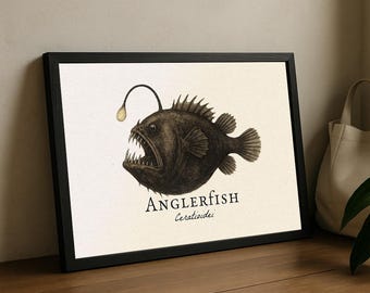 Anglerfish Framed Print – Vintage Scientific Illustration of