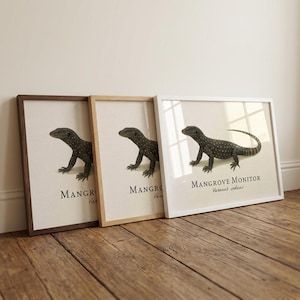 Lámina enmarcada de un varano de manglar: ilustración científica vintage de Varanus indicus