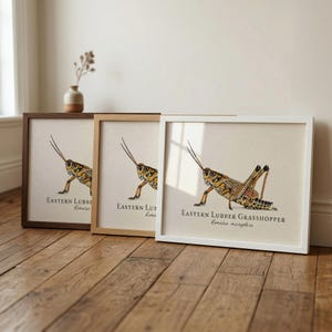 May include: A set of three ceramic mugs with a speckled, matte finish in cream, light grey, and dark grey. Each mug has a simple, minimalist design, suitable for coffee or tea.