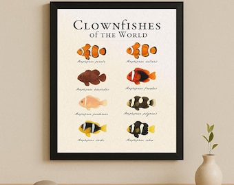 Clownfishes of the World – Vintage Scientific Marine Life Illustration Print