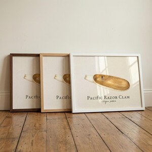 May include: Three framed art prints showcasing illustrations of Pacific Razor Clams. The frames are in dark brown, light wood, and white. The text "Pacific Razor Clam" and the scientific name are printed below the clam illustration.