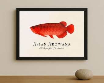 アロワナ 魚 アートプリント ゴールデンドラゴンフィッシュ アジアン