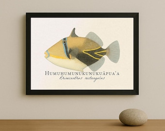 Humuhumunukunukuāpua'a Framed Print – Vintage Scientific Illustration of Rhinecanthus rectangulus