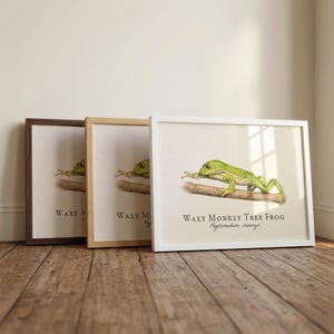 May include: Three framed prints featuring a Waxy Monkey Tree Frog illustration. The frog is green with white stripes, resting on a branch. The frames are brown, light wood, and white. Text reads "Waxy Monkey Tree Frog" below the image.