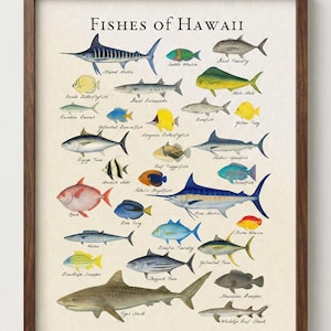 May include: A framed print titled "Fishes of Hawaii" featuring watercolor illustrations of various fish species. The artwork showcases a variety of colorful fish, including the Blue Marlin, Yellow Tang, and Tiger Shark, with their names labeled below. The frame is a dark brown color.