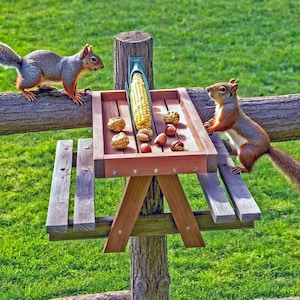 May include: A wooden squirrel picnic table with a corn cob and nuts. Two squirrels are on the wooden fence and table. The table has a brown tray with a green corn holder. The background is green grass.