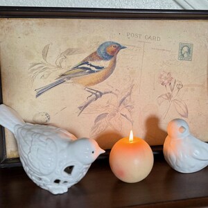 Pacote de decoração com tema de pássaros - 2 pássaros de cerâmica + bandeja de cartão postal de madeira vintage