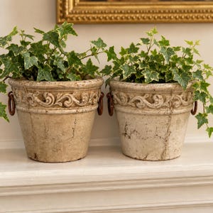 May include: Two matching off-white ceramic planters with a distressed, crackled finish and a raised scrollwork pattern around the rim. Each pot features two small, dark brown metal ring handles on the sides and contains a green ivy plant.