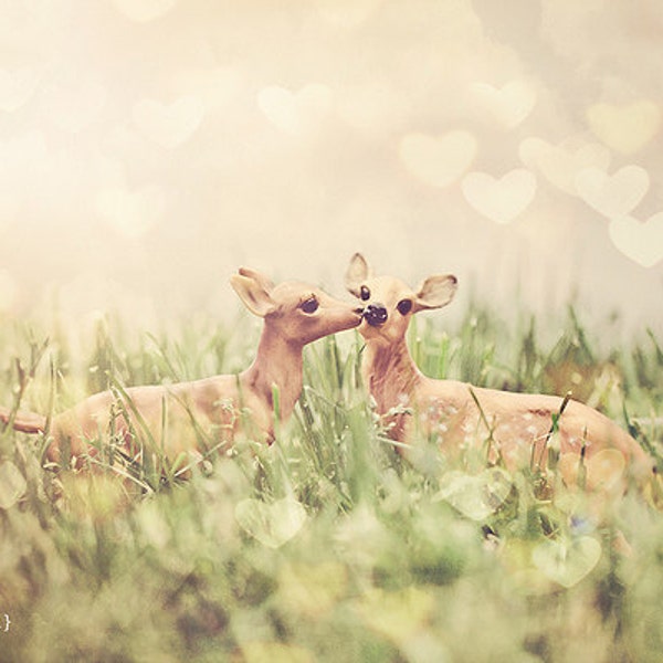 Toy Deer Photography, Kissing Deer , Baby Nursery, Love Is In The Air, Home Decor, Fine Art, 8x8, 8x10 inches - "Let's Meet In The Middle"