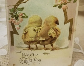 Antique Easter embossed postcard chicks and pink bloom 1907