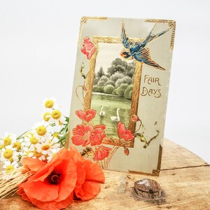 Antike geprägte Postkarte mit Mohnblumen, Schwalbe & Schwäne im See, Amerikanische Postkarte aus der Edwardianischen Ära, Sammelkarte mit Vergoldungen