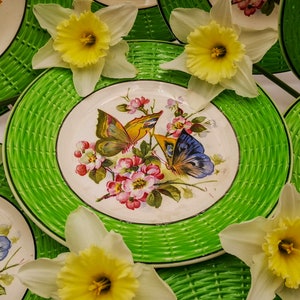 Antique French ironstone dessert plate Digoin Sarreguemines, decor with butterflies & flowers, green border with raised wicker motif