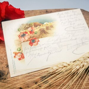 Antike Postkarte mit Mohnblumen & Weizen in Der Landschaft, Viktorianische Ära Deutsche Postkarte, Sammelkarte von 1899
