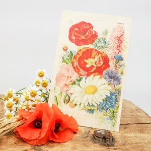 Antike französische Postkarte mit Mohnblumen und anderen Blumen, Edwardian Ära adv französische Postkarte, geschrieben, Sammlerstück Vintage Postkarte