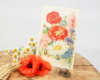 Antique French postcard with poppies and other flowers, Edwardian era adv French postcard, written, collectible vintage postcard