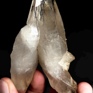 Puede incluir: Un grupo de cristales de cuarzo transparente, de color marrón claro y forma puntiaguda. Los cristales son translúcidos y se destacan sobre un fondo negro.