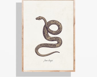 Op de afbeelding: Een ingelijste print met een gedetailleerde illustratie van een slang in bruine en bruine tinten. De slang is opgerold op een crèmekleurige achtergrond. De woorden "free hugs" staan in cursiefschrift onderaan de print.