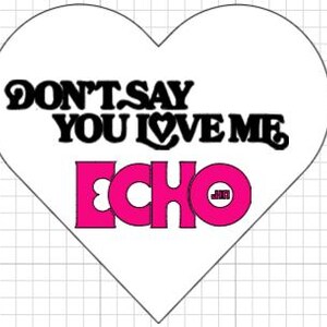 May include: A white heart-shaped graphic with the text "DON'T SAY YOU LOVE ME" in black, stylized font. Below, the word "ECHO" is in bright pink, with a small "JMB" in the center of the "O". The graphic is set against a grid background.