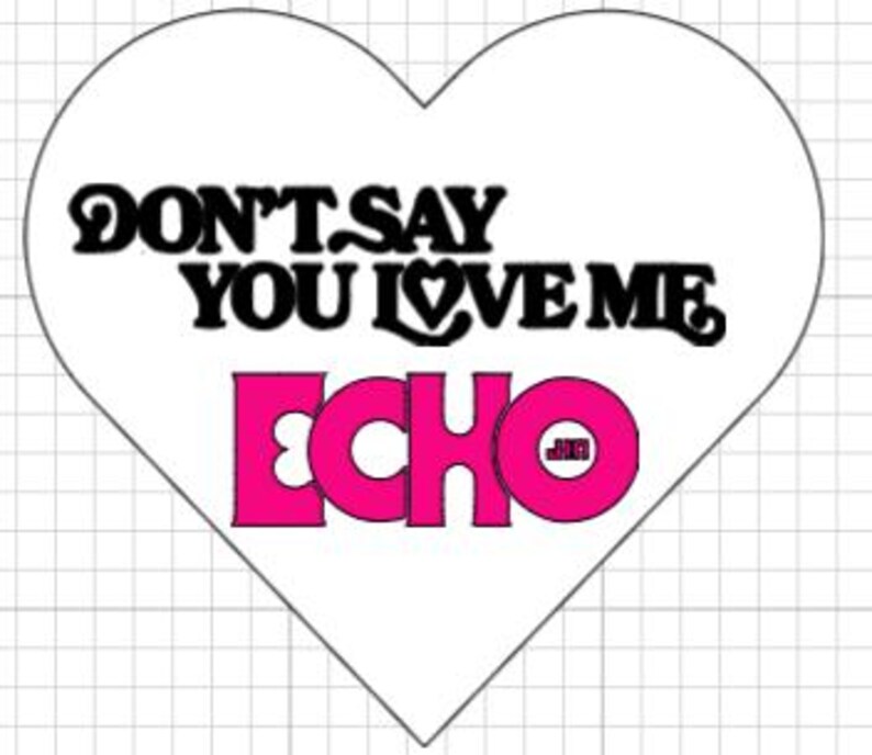 May include: A white heart-shaped graphic with the text "DON'T SAY YOU LOVE ME" in black, stylized font. Below, the word "ECHO" is in bright pink, with a small "JMB" in the center of the "O". The graphic is set against a grid background.