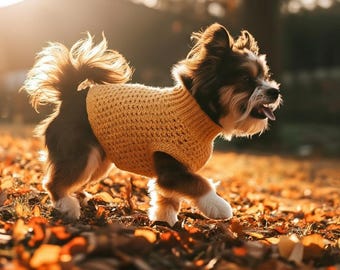 May include: A small dog with brown, black, and white fur wearing a yellow knitted sweater. The dog is walking through fallen autumn leaves, with the sun shining in the background. The dog's tail is fluffy and curled.