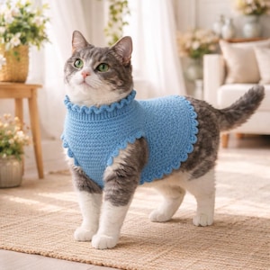 May include: A gray and white cat wearing a light blue, crocheted sweater with a scalloped edge. The cat is standing on a woven rug in a well-lit room with plants and a white sofa in the background.